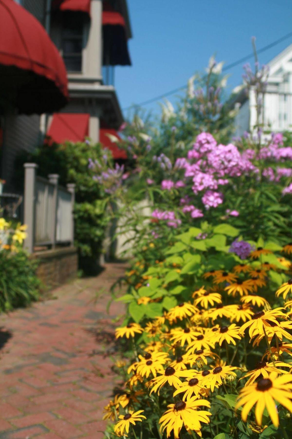 Prince Albert Guest House, Provincetown Bagian luar foto